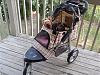 doggy stroller-stroller-1.jpg