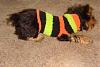 Do these stripes make me look fat??-mabels-sock-1.jpg