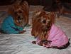 Look at these  jammies!-armani-pippi2010.jpg
