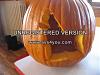 Yorkie pumpkin-img_1372.jpg
