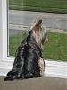 grooming longer hair.-sept-watching-kids-3.jpg