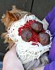 YorkieTalk Sixth Annual Halloween Contest (2010) - SUBMIT YOUR ENTRIES!-dsc03091.jpg