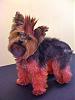 YorkieTalk Sixth Annual Halloween Contest (2010) - SUBMIT YOUR ENTRIES!-img_0249.jpg