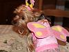 YorkieTalk Sixth Annual Halloween Contest (2010) - SUBMIT YOUR ENTRIES!-brooklyn-2.jpg
