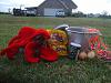 YorkieTalk Sixth Annual Halloween Contest (2010) - SUBMIT YOUR ENTRIES!-sophie2.jpg
