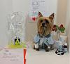 YorkieTalk Sixth Annual Halloween Contest (2010) - SUBMIT YOUR ENTRIES!-daisypatient3-yt.jpg