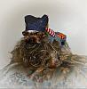 YorkieTalk Sixth Annual Halloween Contest (2010) - SUBMIT YOUR ENTRIES!-148158_10150091661773033_728248032_7154565_659235_n.jpg