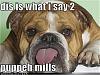 Just want to say...-24bd3c8f-0e70-40dc-9fd0-e7b36e9e5f75.jpg