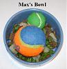 What's Does Your Dog's Food Bowl Look Like At Mealtime?-maxs-bowl.jpg