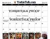 YorkieTalk 2011 Calendars - ORDER TODAY!-07_march.jpg