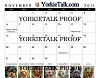 YorkieTalk 2011 Calendars - ORDER TODAY!-23_november.jpg