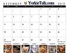 YorkieTalk 2011 Calendars - ORDER TODAY!-25_december.jpg