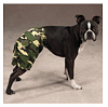 Another smokin' sale at PPE!-pup-pants.png