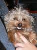 Smile for the Camera!!-romeo-smile-002-2-.jpg