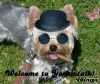 Want to be more involved with YT?  Please join the Welcome Wagon!-212947975_1802965.gif