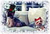 Been awhile...-tino-lola-yt-holiday-pic.jpg