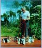 Yorkshire Terrier and the Parti/Tricolor-mrb2.jpg