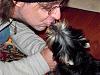 Yorkie Coats, Colors, Growth Chart Discussion-teddikisses1.jpg