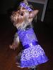 Hark and come hither to the Valentine's Day Ball-dscn4653.jpg