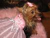 Hark and come hither to the Valentine's Day Ball-img_2960.jpg