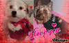 2011 Valentine's Day Ball Couple Submission Thread-bent-cooper.gif