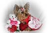 2011 Valentine's Day Ball Couple Submission Thread-img_4993.jpg