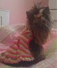 Hark and come hither to the Valentine's Day Ball-pretty-sophie.jpg