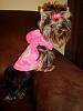 Hark and come hither to the Valentine's Day Ball-sophie-chair-arm.jpg