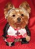 2011 Valentine's Day Ball Couple Submission Thread-buster-brown-2011-yt-valentines-ball.jpg