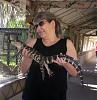 gator in our back yard!!!-gatorama.jpg