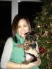 Dog size-myka-tiger-holiday-portrait.jpg