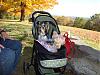 Dog Strollers-strollerbabes_-03.jpg