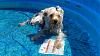 summer time fun-113_0151.jpg