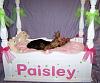 Princess Paisley's new bed-sleepy-paisley.jpg