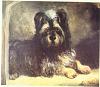 What is a Parti Yorkie-greyfriars-bobby.jpg