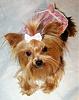 My baby girl turns 2 today!-fiona-face-b-day-dress-1-157-x-200-.jpg