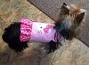 Fairy T summer time harnesses-harness-2.jpg
