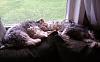 I Have 2 Birthday Boys!!-cooper-max-windowsill.jpg