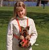 Children trying to pet your yorkie-petpouch.jpg