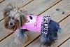 Zhoie's- Yorkie Harness Vest-dsc_0113-640x428-.jpg