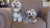 I Have 2 Birthday Boys!!-128_0334.jpg