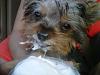 Announcing HENRY-henry_292.jpg