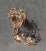 Turning a Yorkie over to rescue-samantha6.10.jpg