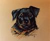 YorkieTalk Fundraiser Raffle 2011! RAFFLE TICKETS ON SALE NOW!-dogportraita.jpg