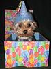 It's Wally's 2nd Birthday!!!-picture.jpg