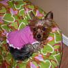 Wanting to get to know everyone!-dscn1311.jpg