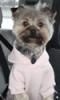 Wanting to get to know everyone!-sophieb.gif