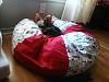 Bed I made ....-george-mod..jpg