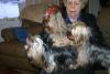 Now I'm looking at a 0 Yorkie-img_9846.jpg