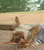 It's Riley's Birthday-015.jpg